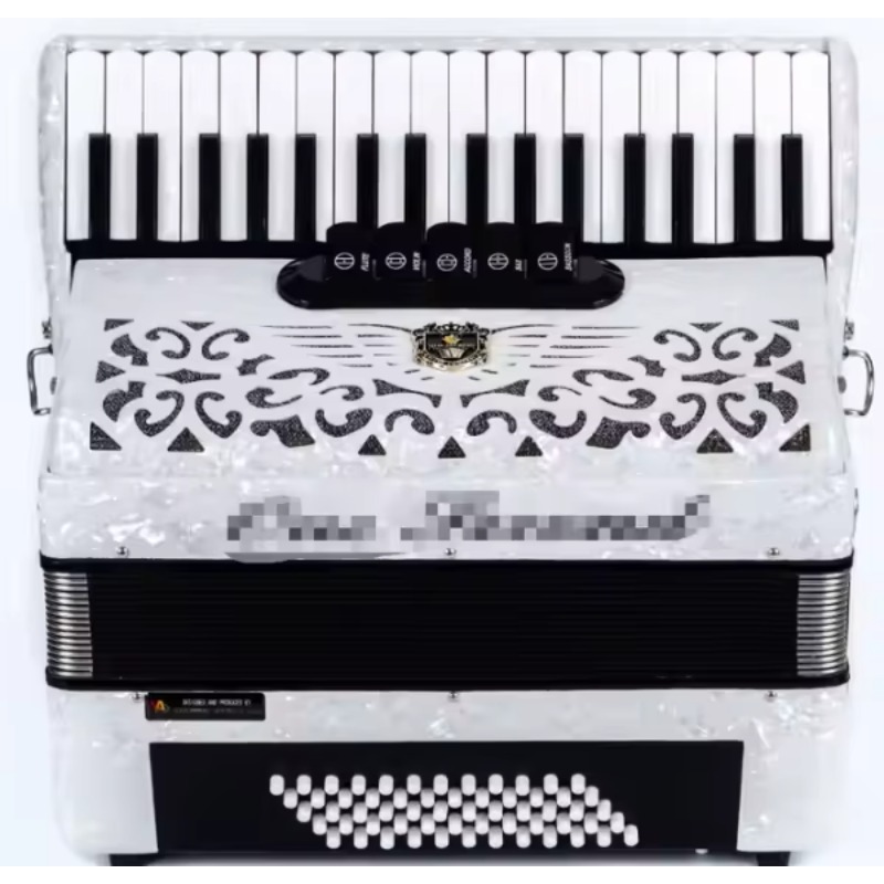 Musical Instrument Reed - Professional Accordion Instrument with 34/37/41 Bass