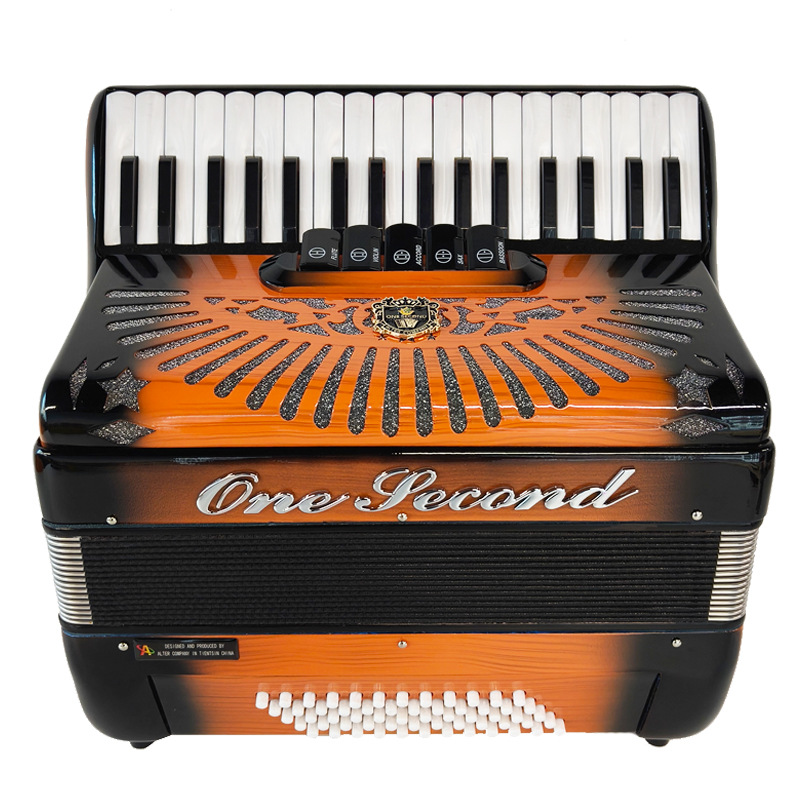 Accordion 60 Bass Keyboard Acc - Musical Instrument Reed avis et prix