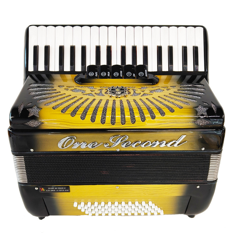 Accordion 60 Bass Keyboard Acc - Musical Instrument Reed avis et prix