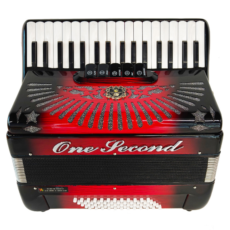 Accordion 60 Bass Keyboard Acc - Musical Instrument Reed avis et prix
