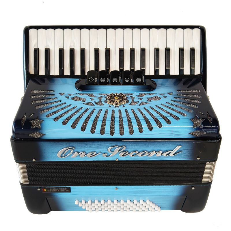 Accordion 60 Bass Keyboard Acc - Musical Instrument Reed avis et prix