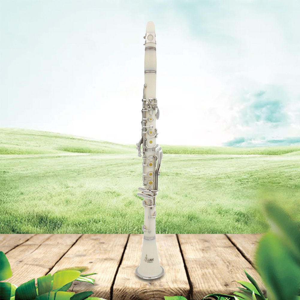 Bb Clarinet 17 Keys with Case  - Musical Instrument Reed avis et prix