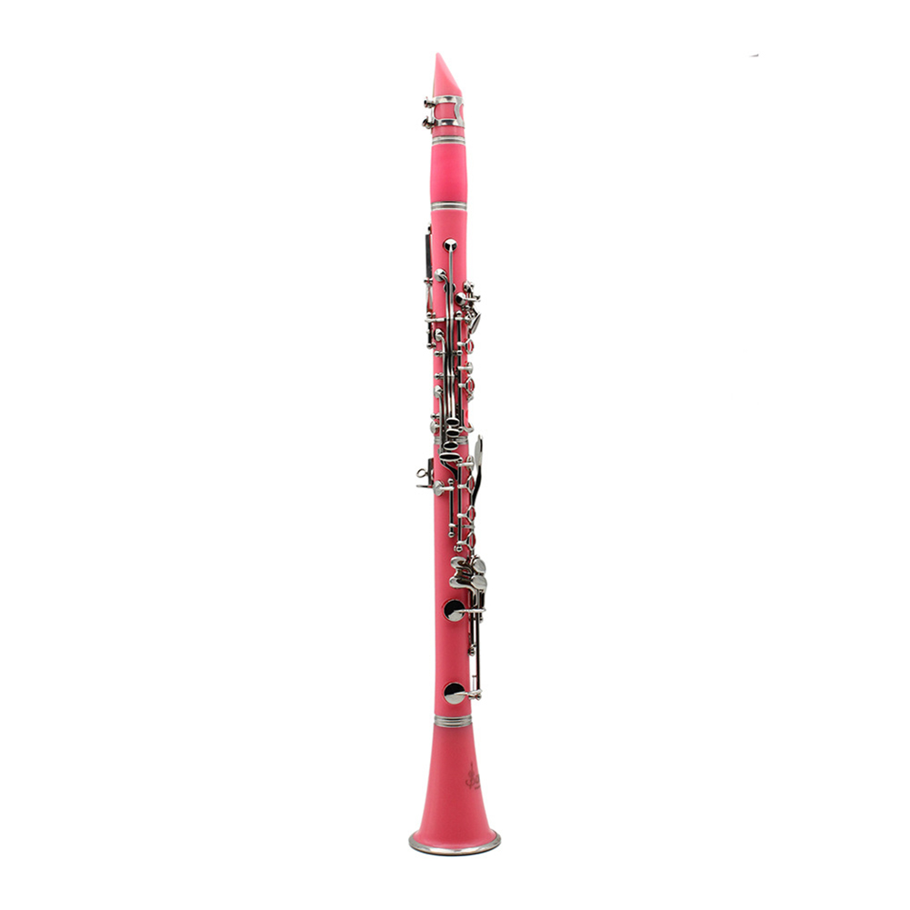 Bb Clarinet 17 Keys with Case  - Musical Instrument Reed avis et prix