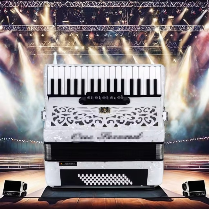 Professional Accordion Instrum - Musical Instrument Reed avis et prix