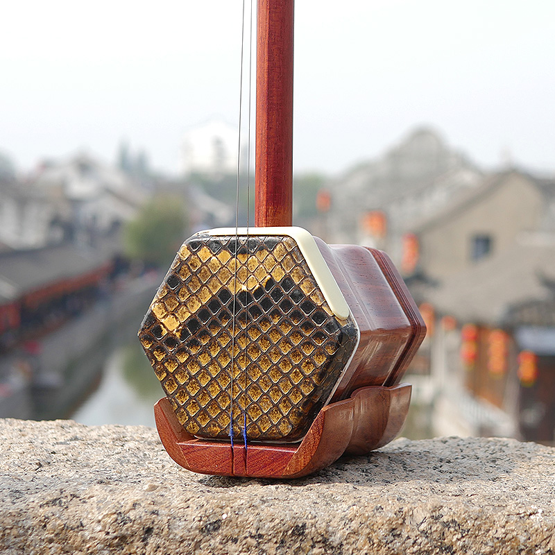 Professional Dunhuang Brand 06 - Musical Instrument Brands avis et prix