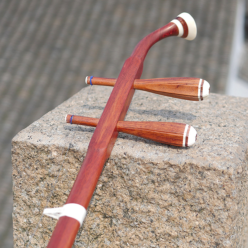 Professional Dunhuang Brand 06 - Musical Instrument Brands avis et prix