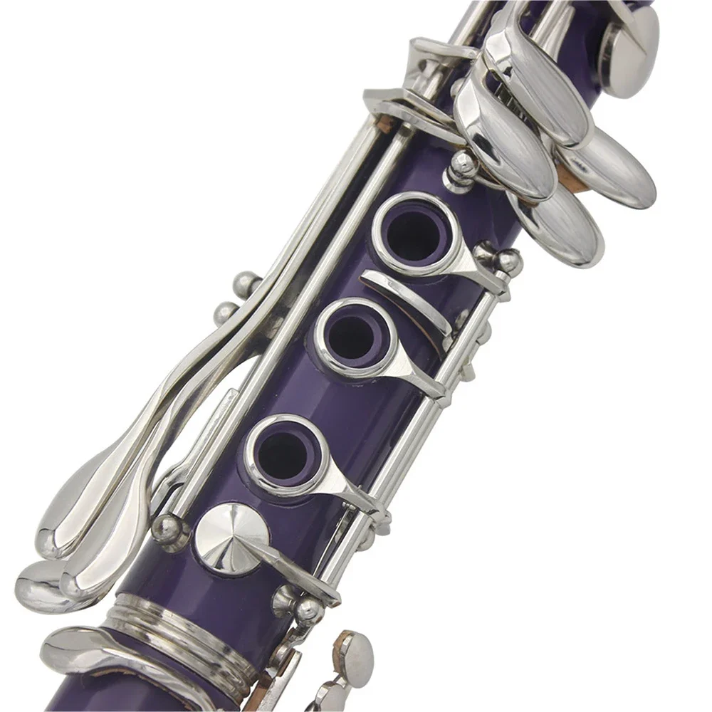SLADE B-Flat Clarinet 17 Keys  - Musical Instrument Reed avis et prix
