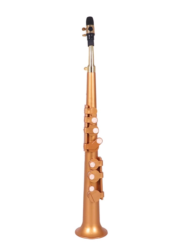 Saxophone Littlesax Pocket Sax - Musical Instrument Reed avis et prix
