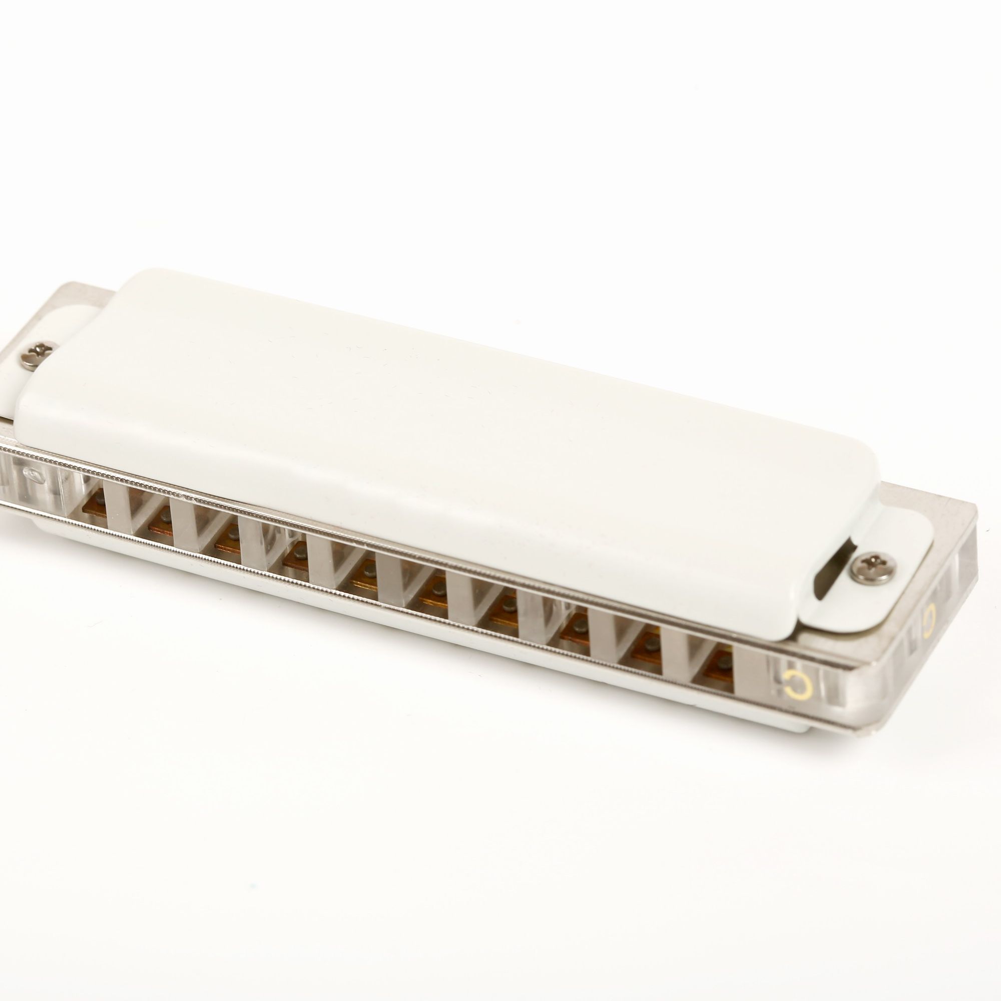 East top 10 hole harmonica pro - Musical Instrument Reed avis et prix